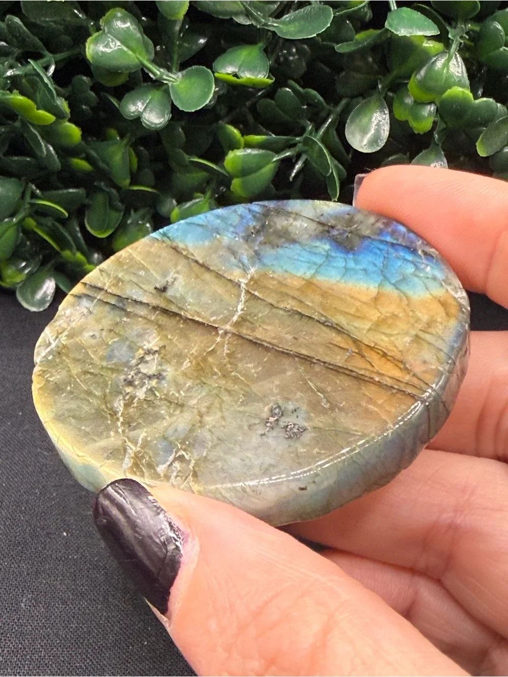 Full Flash Labradorite Shark Medallion